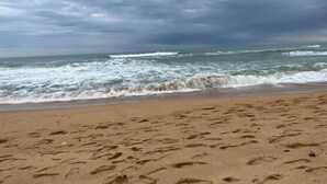 On the beach