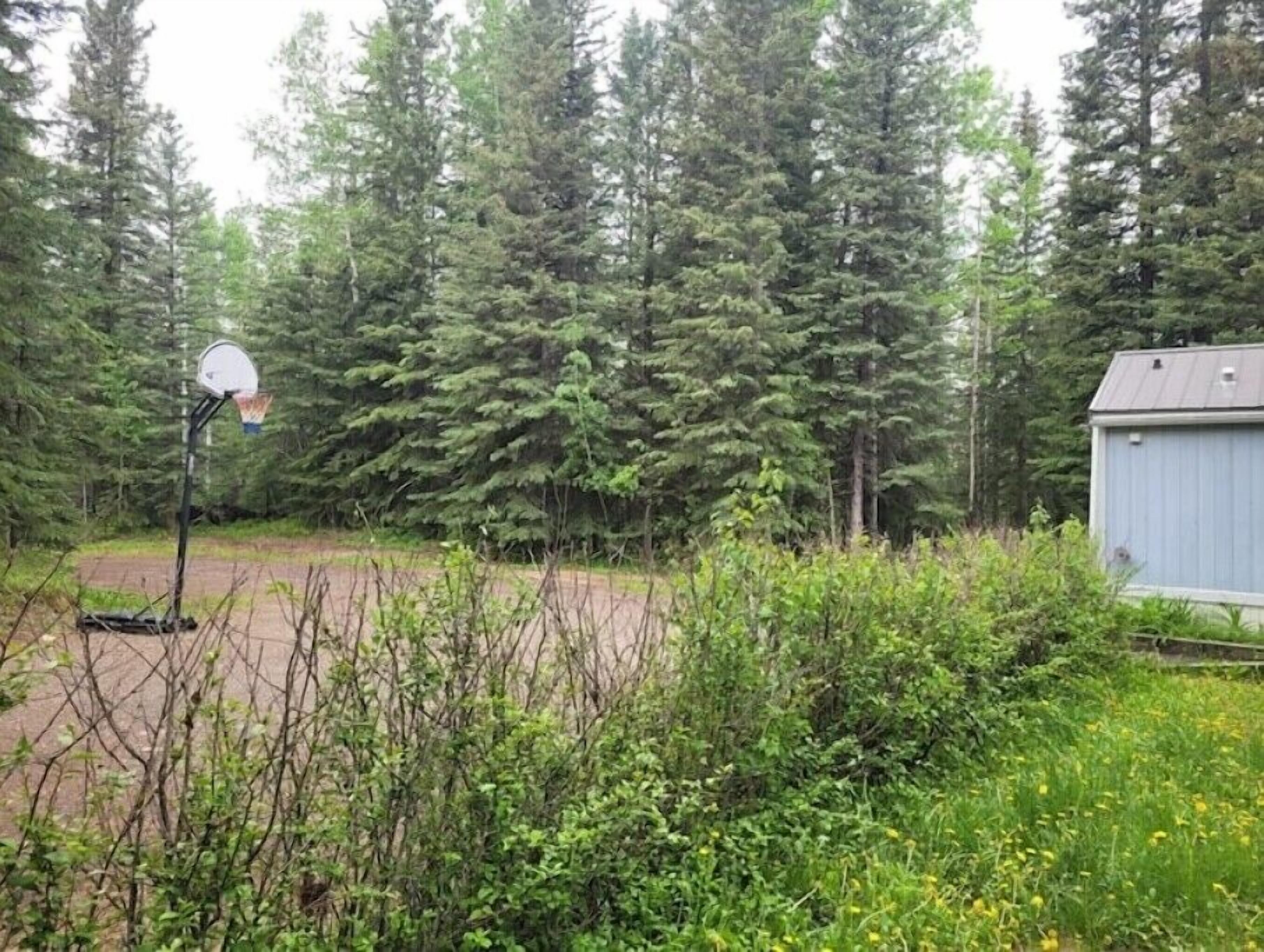 A basketball hoop in a wooded area with a shed in the background.
