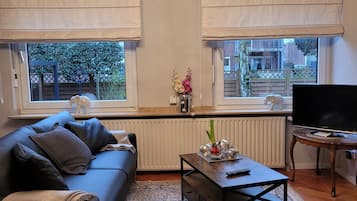 Fernseher, Computerbildschirme