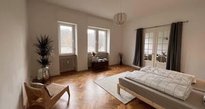 Historisches Apartment mit Rheinblick