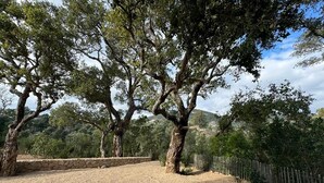 A gravel path leading to a stone wall, surrounded by trees and a fence. - Maison de Type Bergerie , Proximité Porto Vecchio - Www.casarella.eu (Zonza)