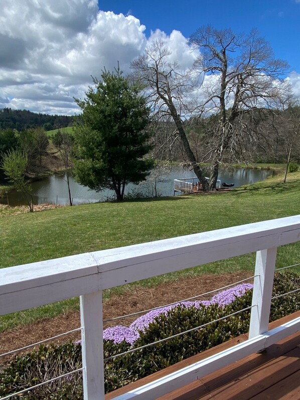 Property grounds - The Clubhouse--studio in bucolic, country setting w/hiking trails, pond, hot tub (Copper Hill)