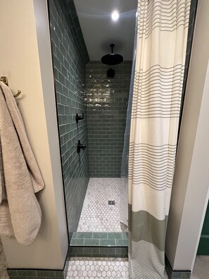 Shower, hair dryer, bidet, towels - Charming east side home with gym, sauna and outdoor TV for RNC! (Milwaukee)