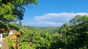 A lush, green landscape with a wooden deck overlooking a dense forest and a distant view of hills. - Casa Margarita (Roatan)