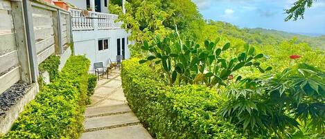 A pathway leading to a white building with a balcony, surrounded by lush greenery and a mountainous backdrop.