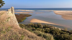 Un paysage côtier avec un mur de pierre, une rivière et une plage.