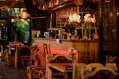 Bar (en la propiedad)