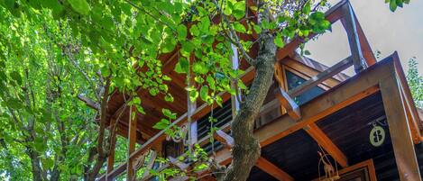 Une cabane en bois avec un patio en pierre, des meubles en bois et une grande plante en pot.