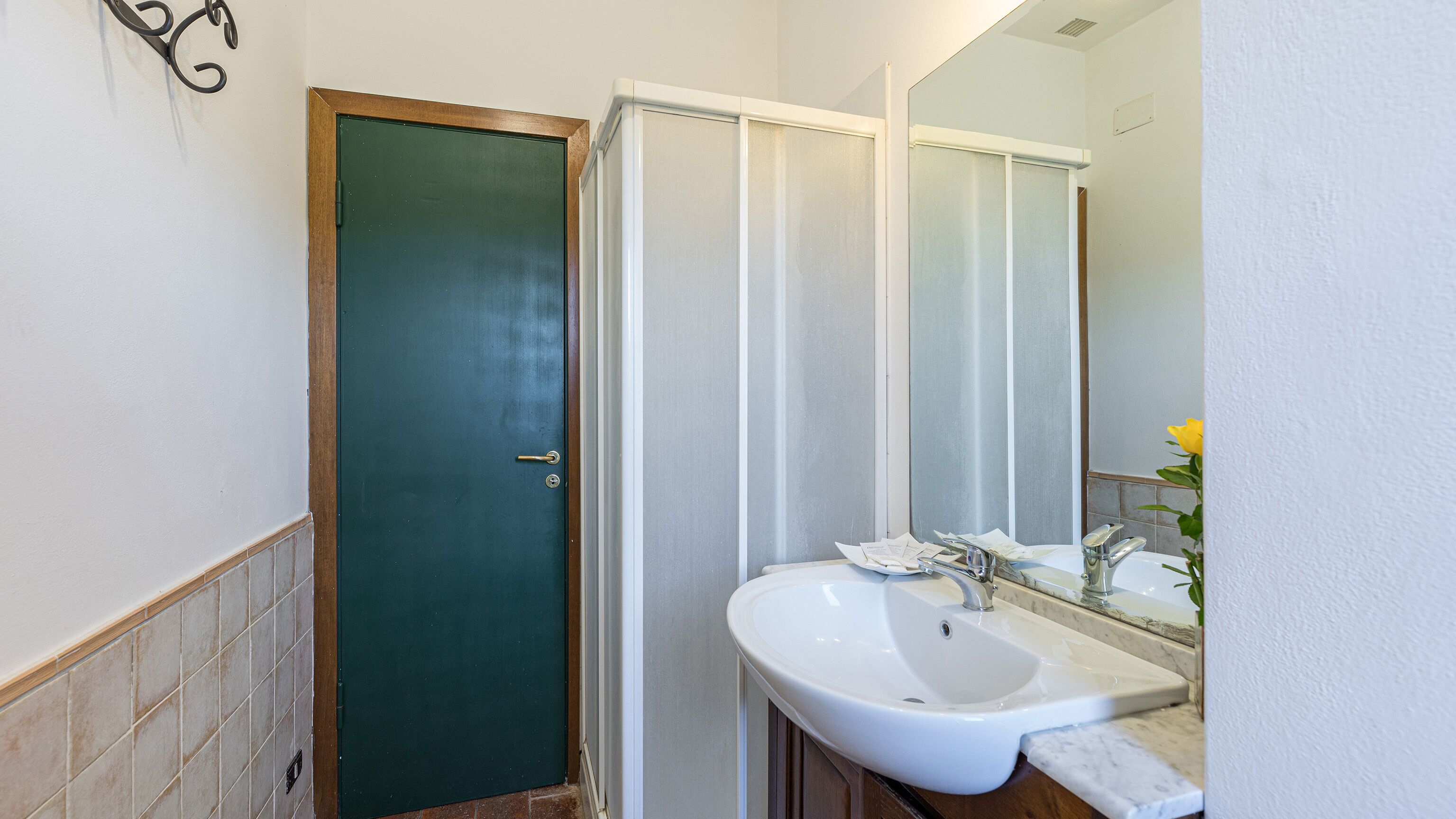 A bathroom with a green door, a white sink, and a mirror.