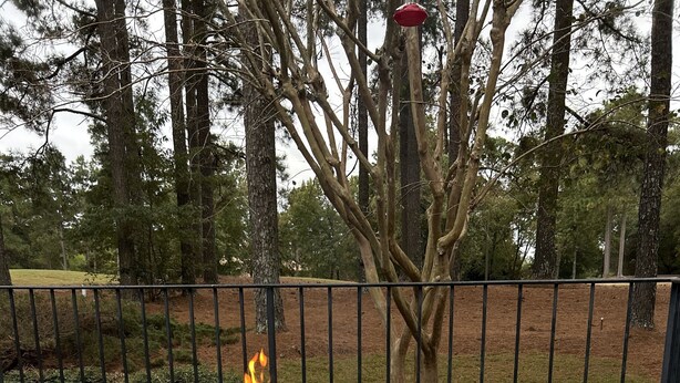 Ein metallenes Feuerbecken mit Flammen auf einer Holzterrasse, umgeben von einem Metallzaun und Bäumen.
