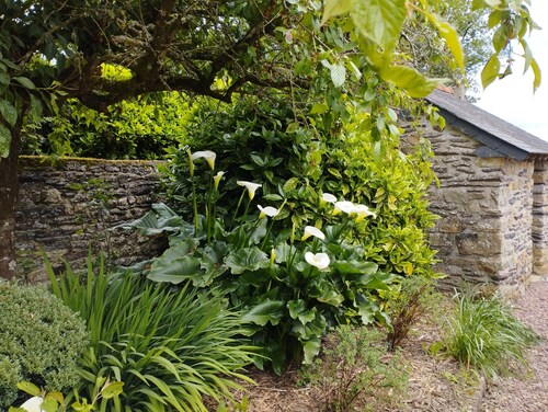 Gîte "La Maison de Rosalie" au Coeur de Brocéliande