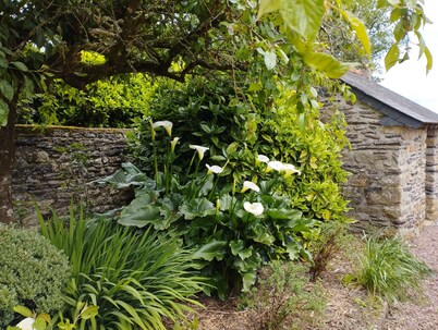 Gîte "La Maison de Rosalie" au Coeur de Brocéliande