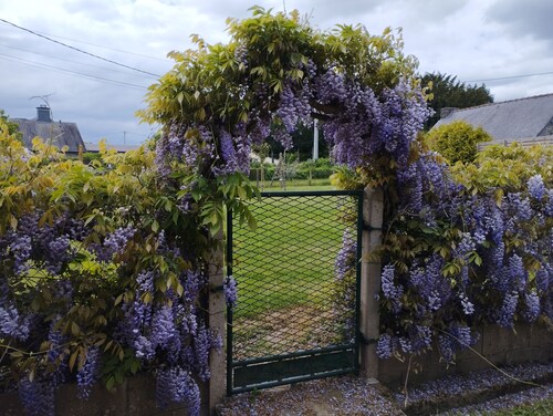 Gîte "La Maison de Rosalie" au Coeur de Brocéliande