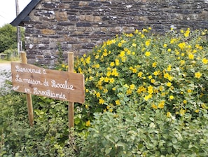 Detalle exterior