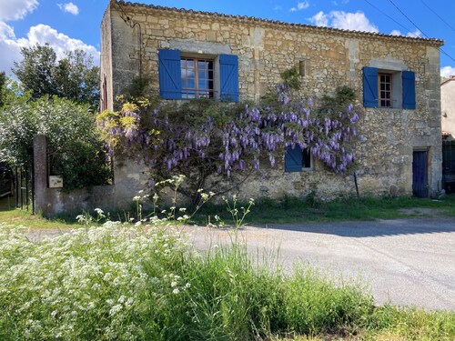 Maison au Milieu des Vignes Proche de Saint Emilion