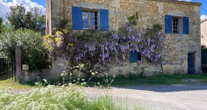Maison au Milieu des Vignes Proche de Saint Emilion