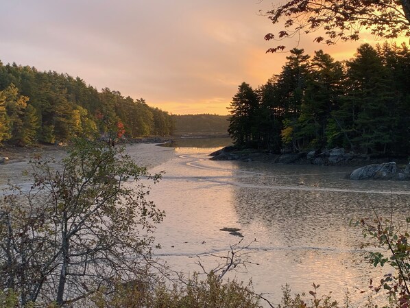 A river surrounded by dense forest with rocky outcrops.