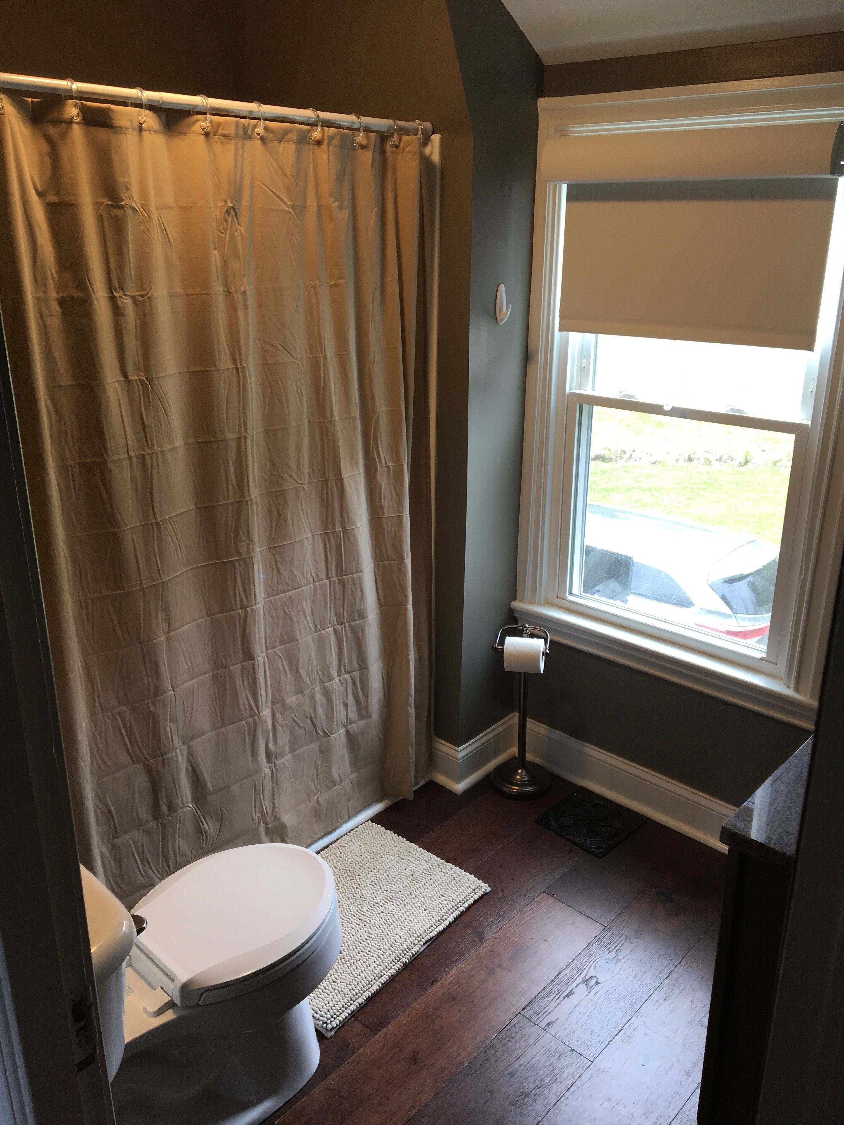 A bathroom with a shower curtain, toilet, and a window with a view of the outside.