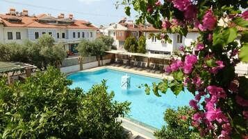 Vista desde la propiedad