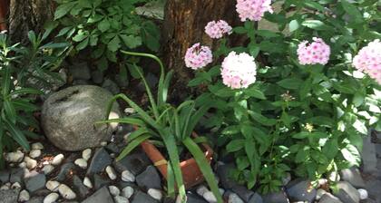 Historische Villa mit Komfort in Cottbus