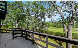 Terrace/patio - Gourment kitchen, billards, faboulous living, minutes downtown/airport/beaches (Charleston)