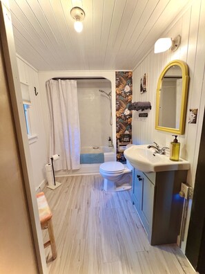 Secadora de cabello, toallas, jabón, shampoo 