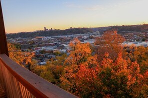 Property grounds - Unmatched City View! King Bed, 2BR Apt. Free Parking! (Pittsburgh)