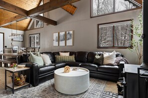 Smart TV, fireplace, books