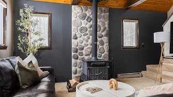 Smart TV, fireplace, books