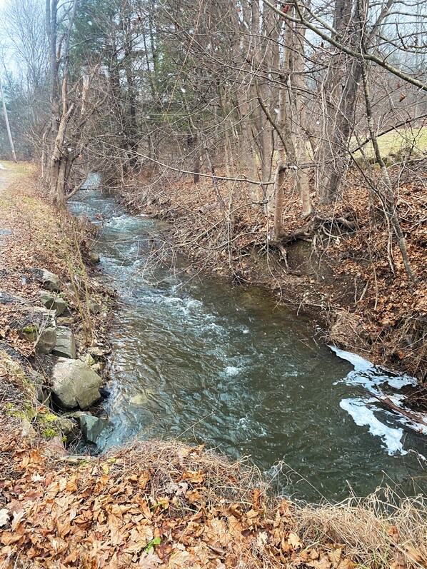 A stream flowing through a wooded area with rocks and fallen leaves along the banks.