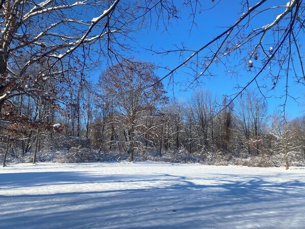 A snow-covered landscape with bare trees and a clear blue sky.