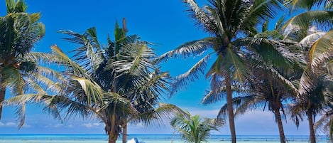 在海灘附近