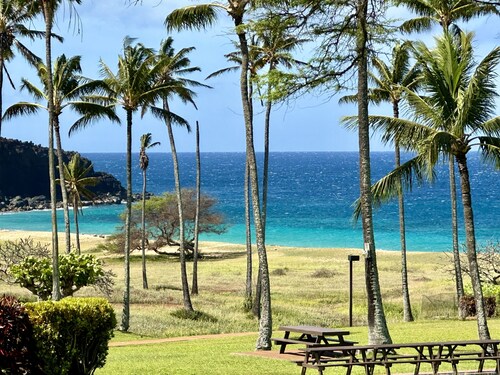 Beautiful Ocean-View unit with easy beach access. Ask about vehicle option.