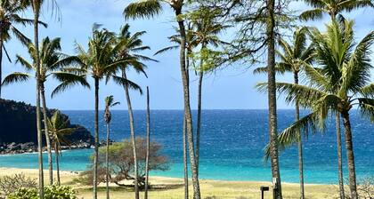 Beautiful Ocean-View unit with easy beach access. Ask about vehicle option.