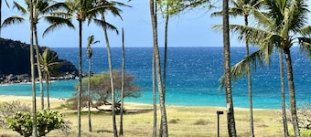 Beautiful Ocean-View unit with easy beach access. Ask about vehicle option.