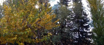 Petit Chateau J&sr En la Ruta del Vino y la Aceituna, Maipu,mza, Argentina