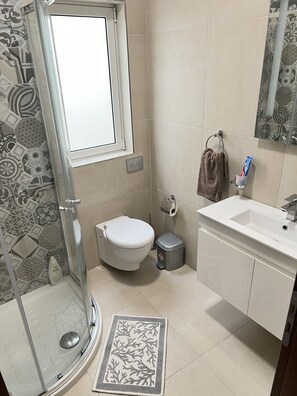 Douche, articles de toilette gratuits, serviettes fournies