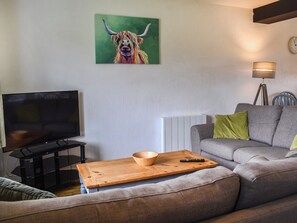 TV