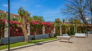 A paved walkway with benches, trees with pink flowers, and a clear blue sky. - Gorgeous apartment in Torrevieja (Torrevieja)