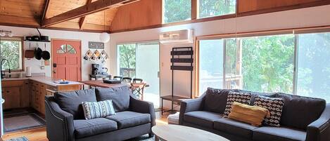 Smart TV, fireplace, video games, books