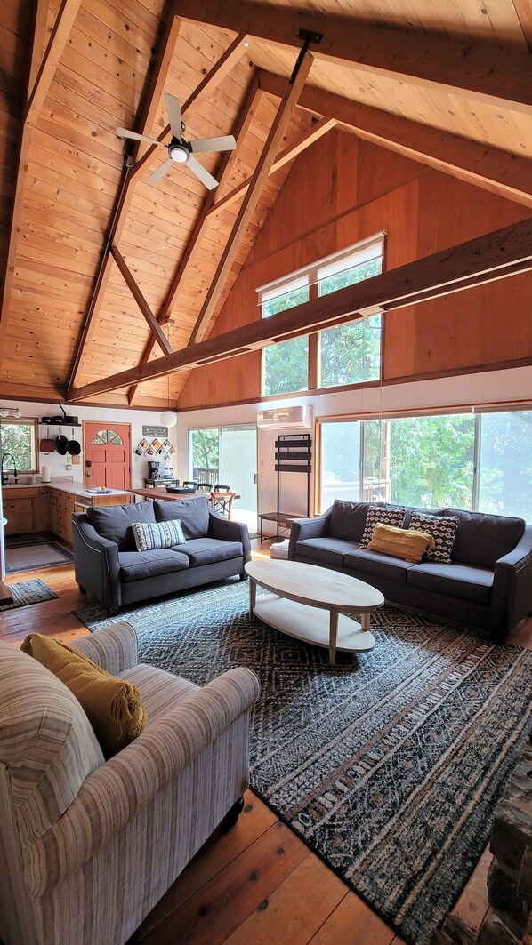 Smart TV, fireplace, video games, books