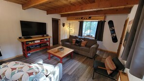 Smart TV, fireplace, video games, books