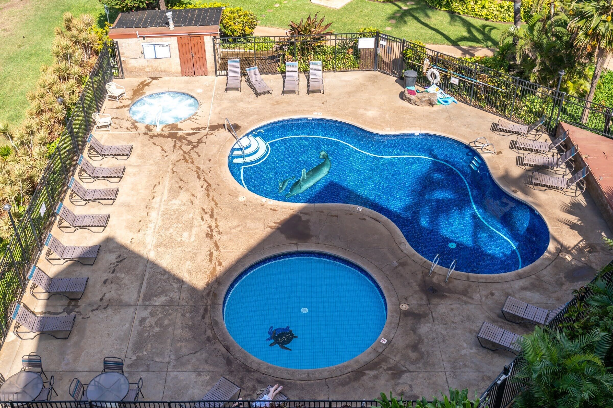 A swimming pool with a hot tub, lounge chairs, and a small building.