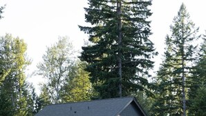 Una casa de dos pisos con un porche, un garaje y un árbol grande al fondo.