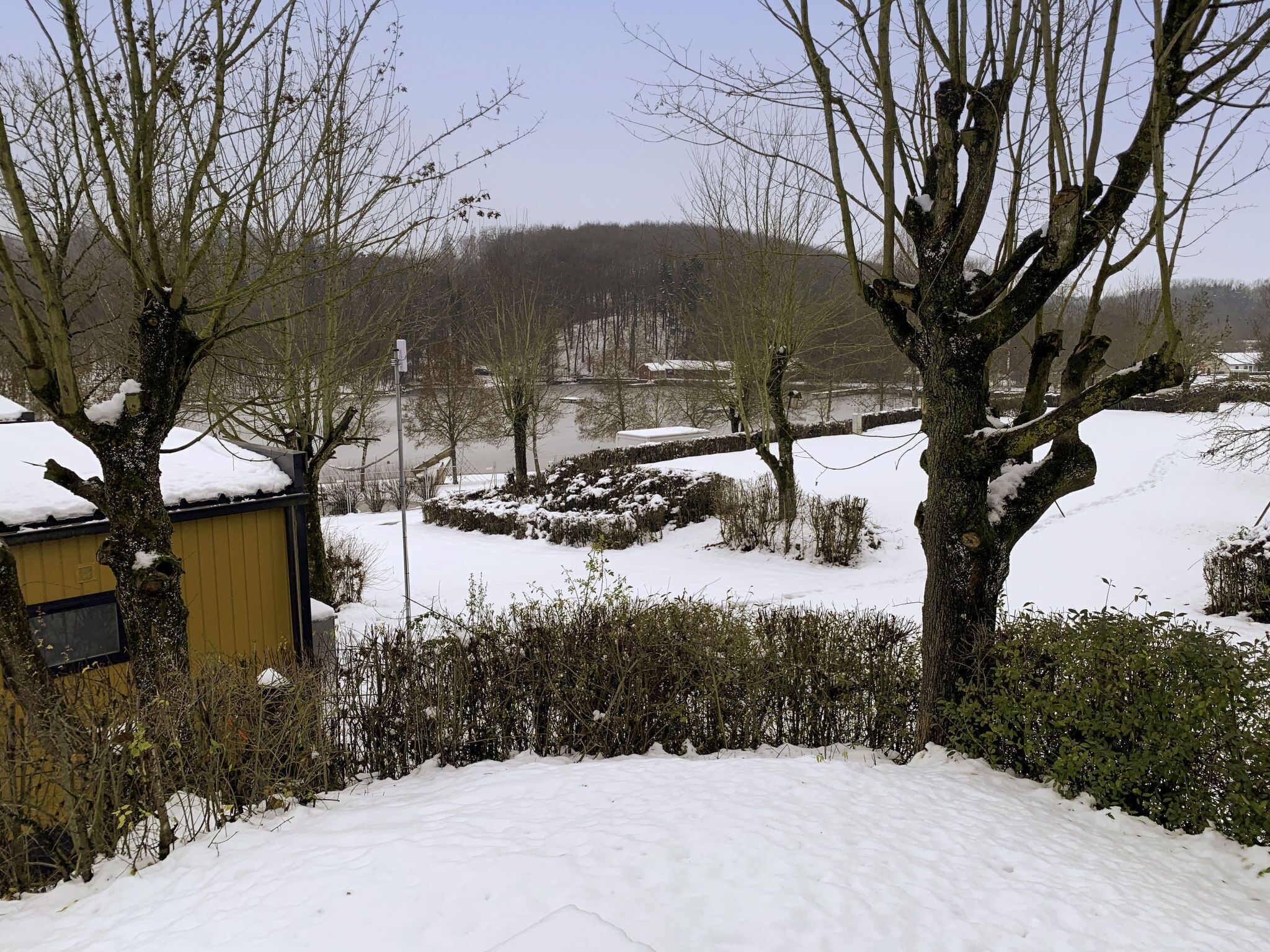 Paesaggio innevato con una piccola struttura in legno, probabilmente un deposito, circondato da alberi e cespugli.