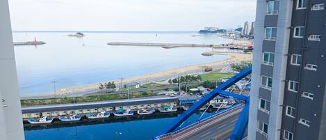 A high-rise building overlooking a marina with boats docked, a road with vehicles, and a beach in the background.