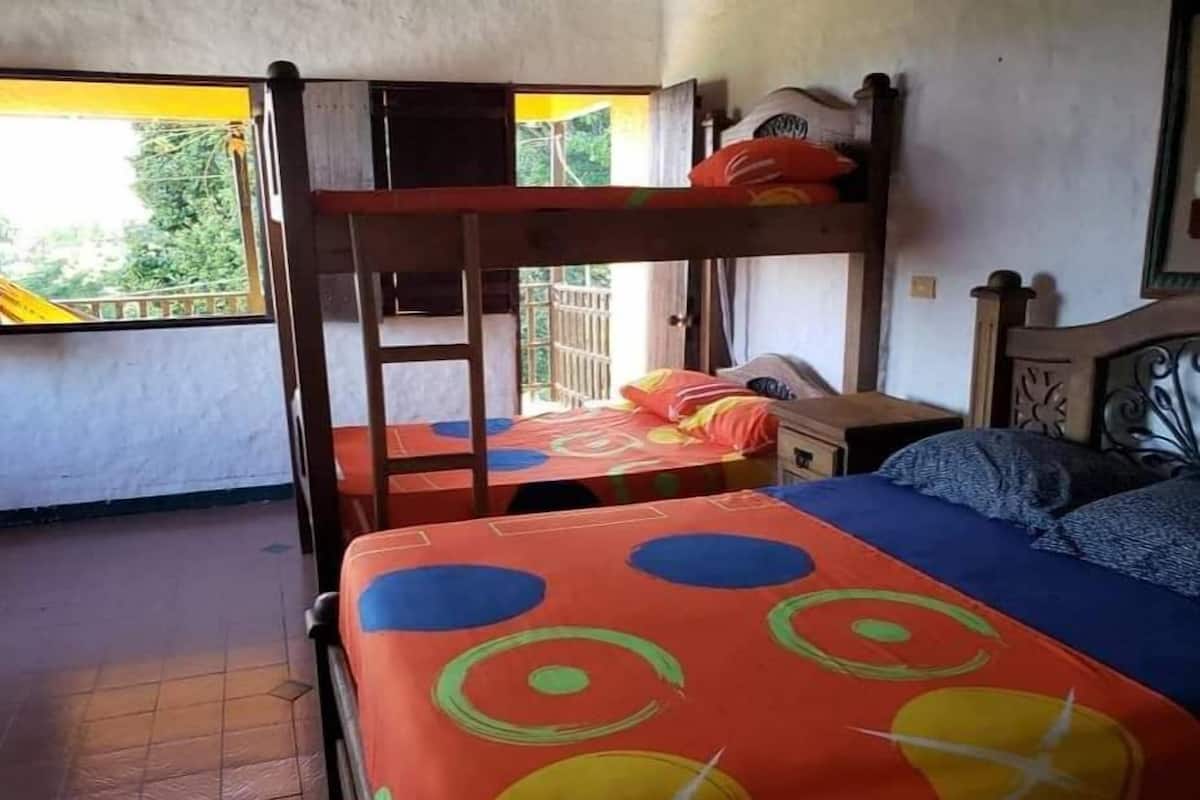A dormitory room with bunk beds, a small table, and a window with a view of greenery.