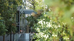 A modern building with a glass facade, a covered walkway, and lush greenery. - Hotel Yoo Beijing  (Beijing)