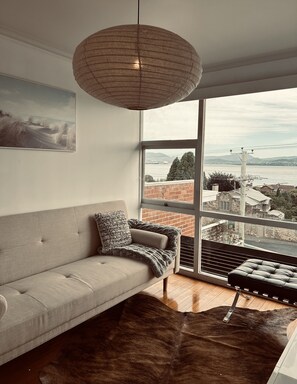 Smart TV, fireplace, books