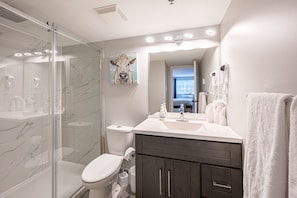 Shower, hair dryer, towels